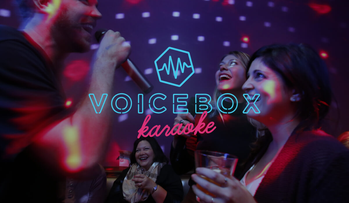 Voicebox  project