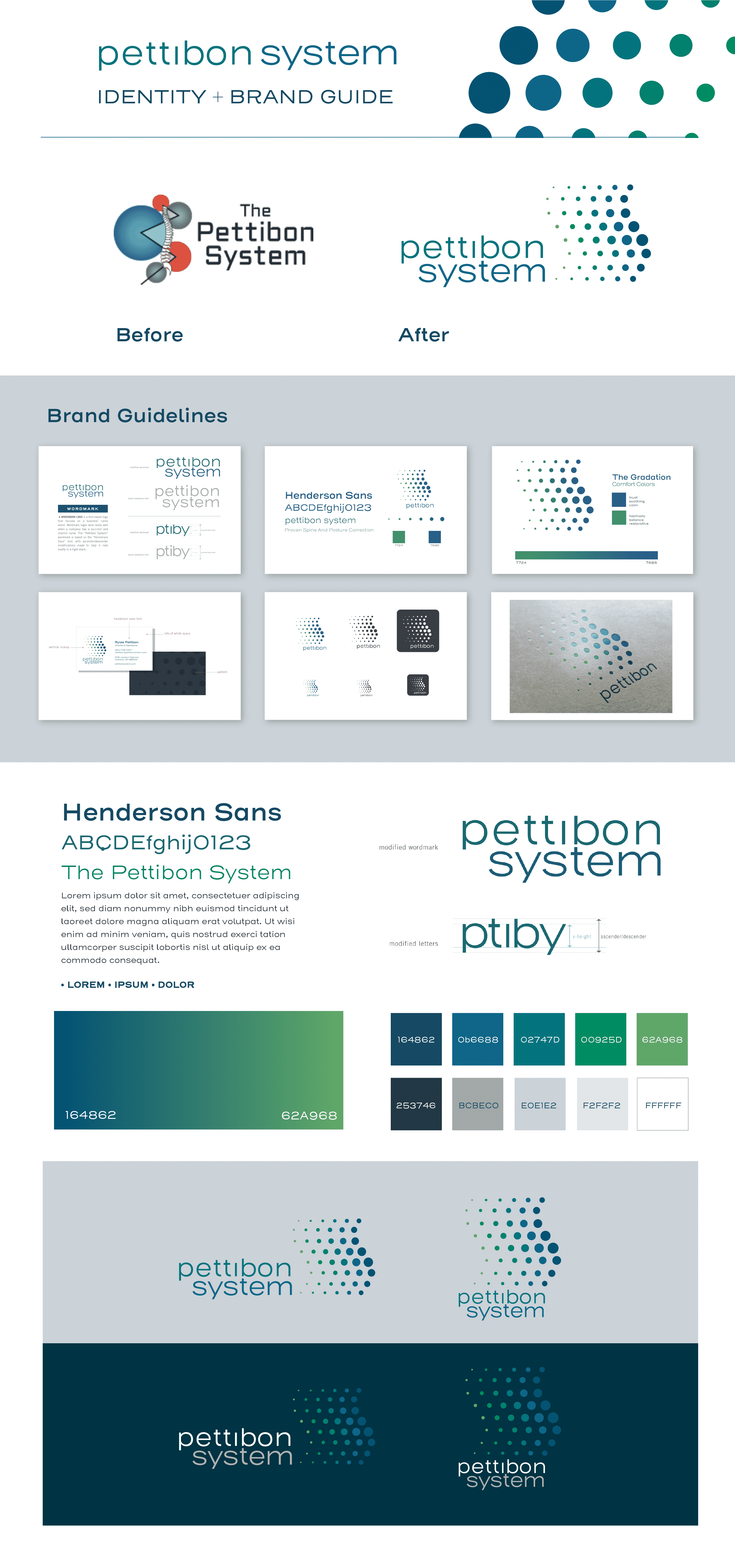 Pettibon Systems  project