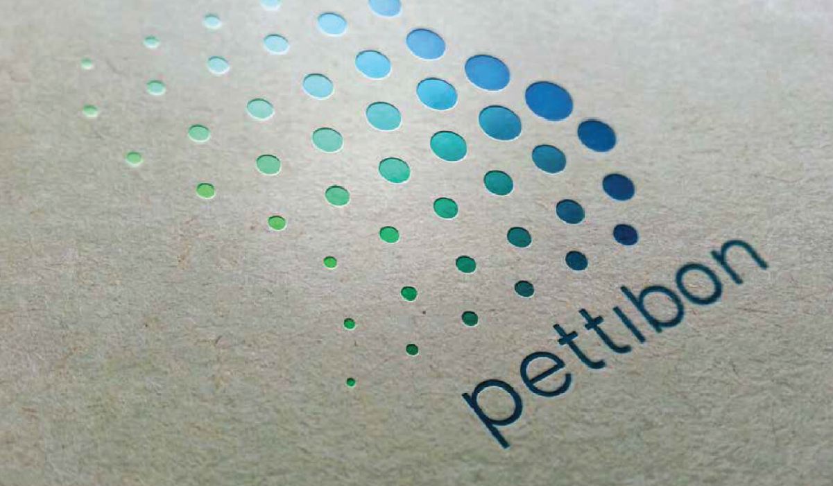 Pettibon Systems  Logo Development project thumbnail