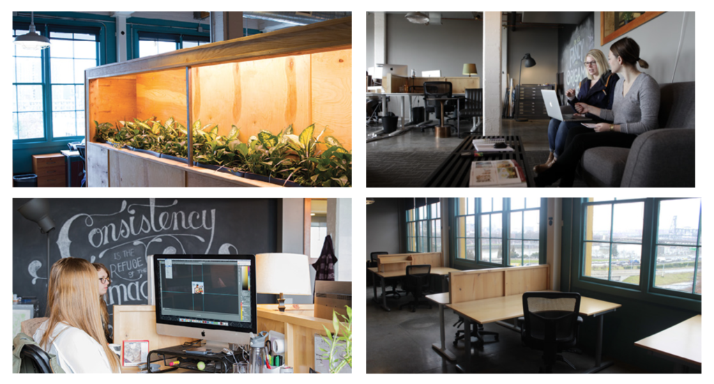 Fish Creative Space