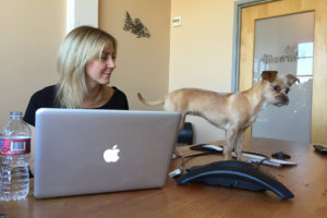 Lacey & Tilly - Fish Office Dogs