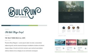 Portfolio sample of the Bull Run Craft Cannabis branding